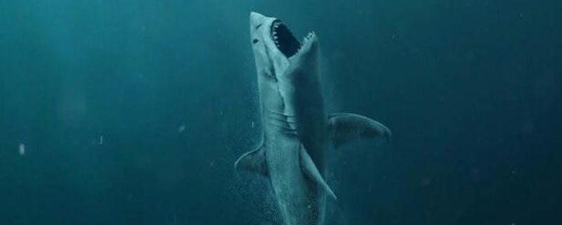 �޳���ȫ��Ʊ������ Ʊ���ﵽ��34��Ԫ