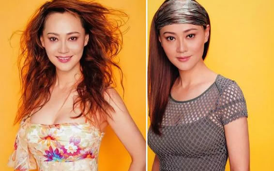 大宋佳个人资料简介 她和刘奕君的恩怨