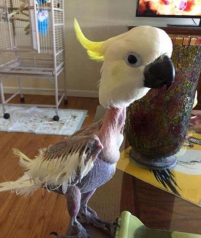 ��÷���ź�����ô��ʶ���� �ź���������÷����Ƭ