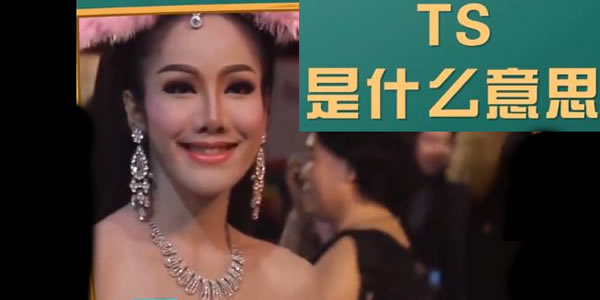 ts����ɶ ts��ʲô��˼����һ��