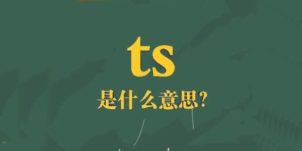 ts代表啥 ts是什么意思解释一下
