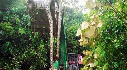 ��ƽ�����¼��ľ��� �ھ���ڳ�16�׳�����