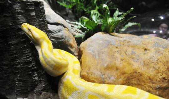 ��ƽ�����¼��ľ��� �ھ���ڳ�16�׳�����