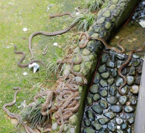 ǧ�����ߵ��ر�ԭ�� �ߵ����ǲ����кܶ���