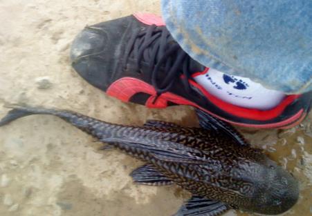 ���������ž�����˭ ������ӱ��ϵ