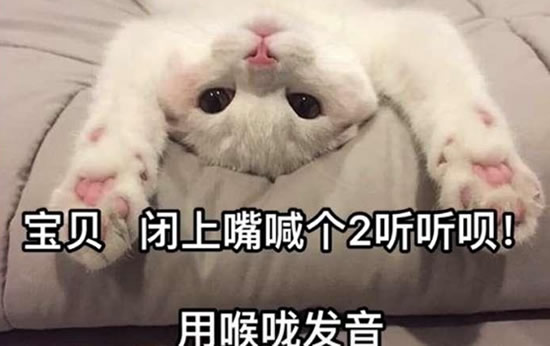 �����캰����ʲô��˼ �������ú���˵����ʲô��