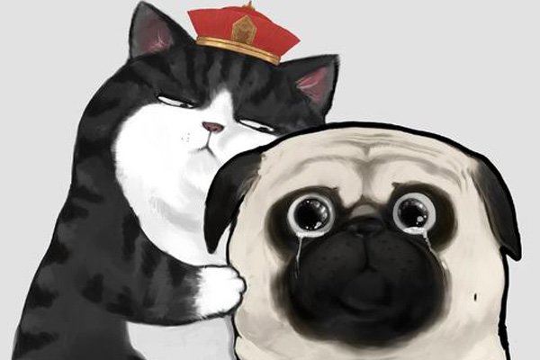 巴扎黑个人资料是什么狗 不是一个人