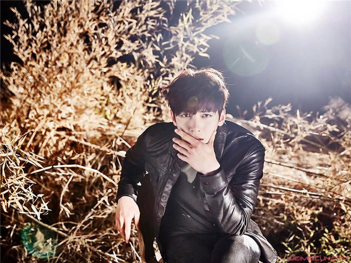 �ز������ݶԱ�ͼƬ �ز������һ�����