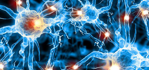 �ڶ��˸���ֵ�ǰ����ʲô �˸����֢����