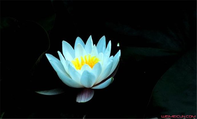 ʲô�а�����Ů�� ��������ʲô����Ů��