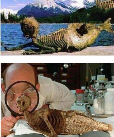 美人鱼的照片 美人鱼真身图片太吓人