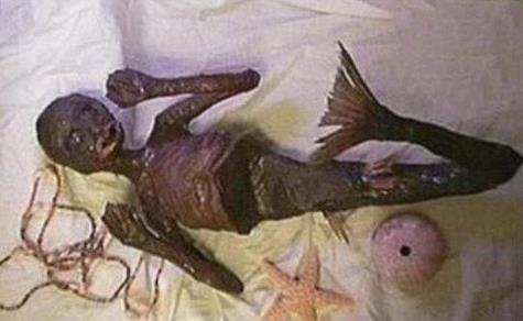 美人鱼的照片 美人鱼真身图片太吓人