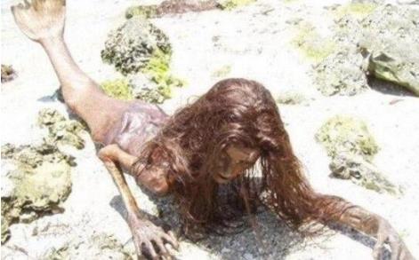 美人鱼的照片 美人鱼真身图片太吓人