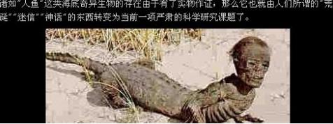 美人鱼的照片 美人鱼真身图片太吓人