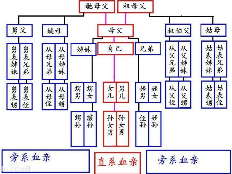 孩子辈分称呼大全图详细 认识家中的亲戚
