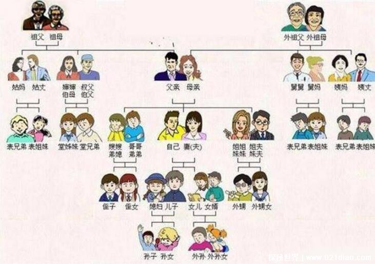 孩子辈分称呼大全图详细 认识家中的亲戚