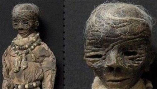 ����ŮӤ��ʵ������ ����ŮӤ����Ϊʲô������