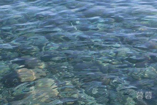 ʲô�����˲�����̩ɽ �����˲�����̩ɽ