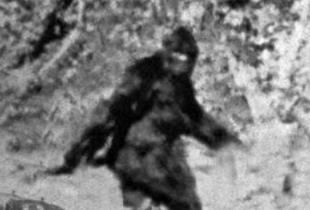 �����ǰ���Ұ���� �ڰĴ����Ǳ��طǳ�����