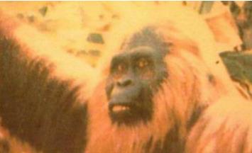 �����ǰ���Ұ���� �ڰĴ����Ǳ��طǳ�����