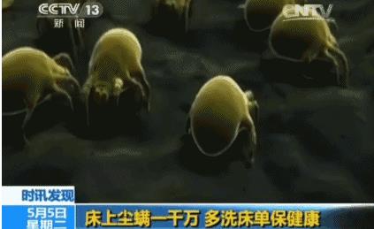 ��������ҧ��֢״ͼ ���ϵ�������ʲô����