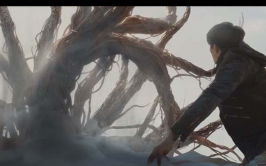 九头蛇柏树真的存在吗?被当地人称呼为“ 恶魔之树”