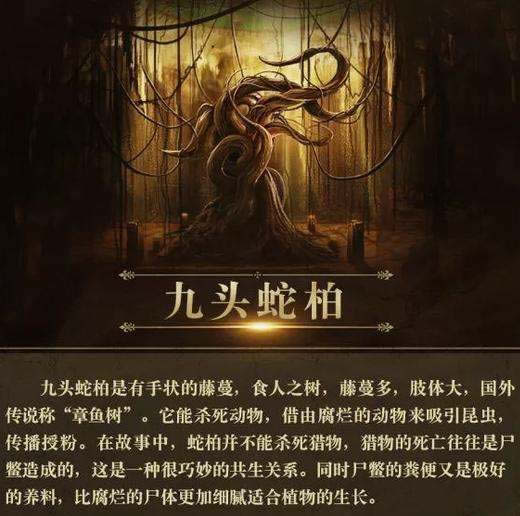 九头蛇柏树真的存在吗?被当地人称呼为“ 恶魔之树”