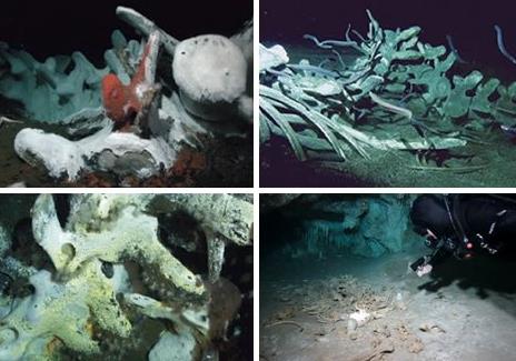 ��������˹��ַ���ҵ����� ��������˹������ͼ