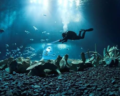 ��������˹��ַ���ҵ����� ��������˹������ͼ