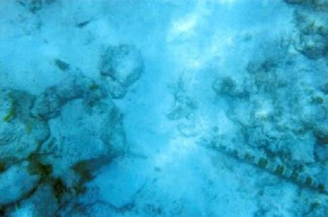 ��������˹��ַ���ҵ����� ��������˹������ͼ