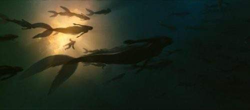 �����㴫˵ ʲô������������ô����