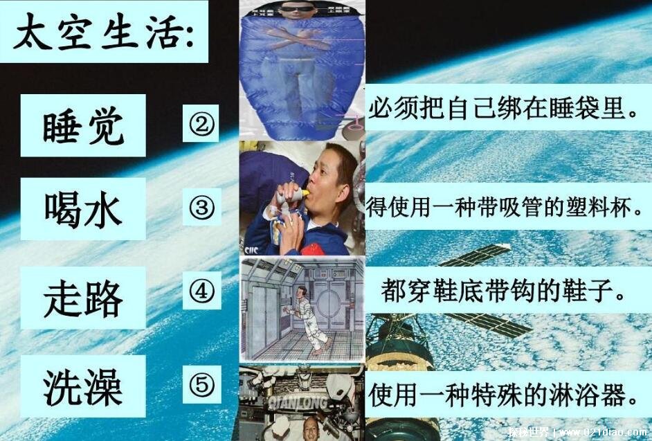 ̫����������Щ��Ȥ������ ����̫�������Ȥ��