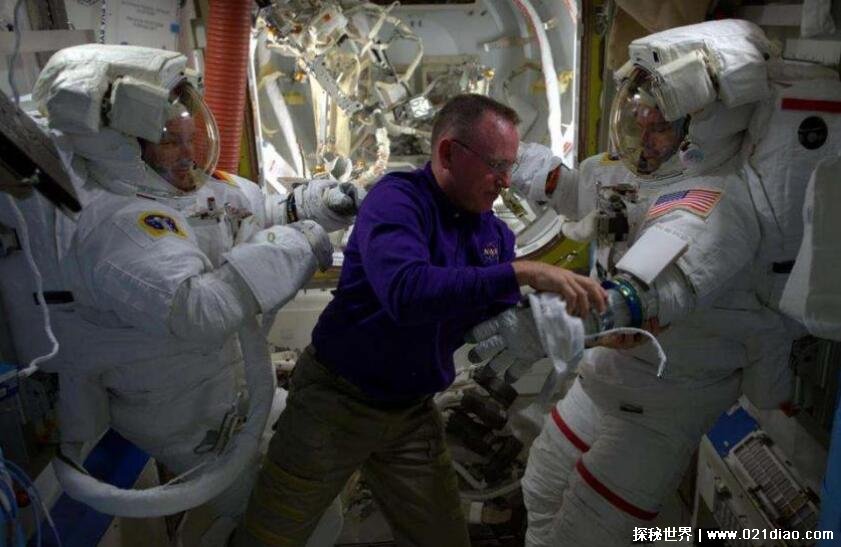 ̫����������Щ��Ȥ������ ����̫�������Ȥ��