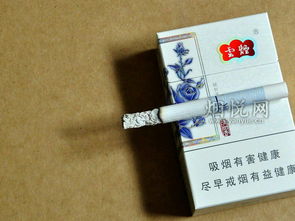 ��С�ʺ����ֳ���� �ʺϳ�ѧ����ϰ���̹���