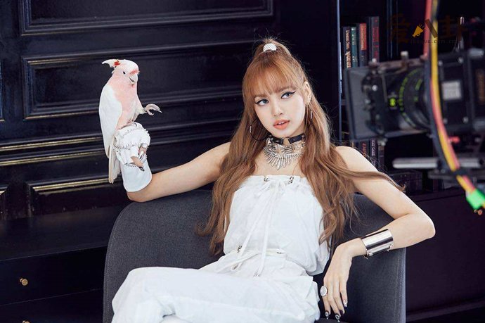 lisa��̩���˻�Ѫ�� Lisa�ĵļ���������ĸ����