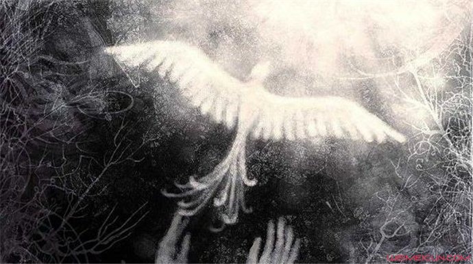 a fakerʲô��˼ ����ʮ���������