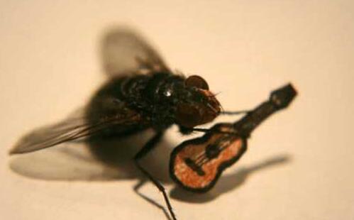 ��Ӭ�������ڸ��� ͣ������ʱ����ϲ�����ִ��