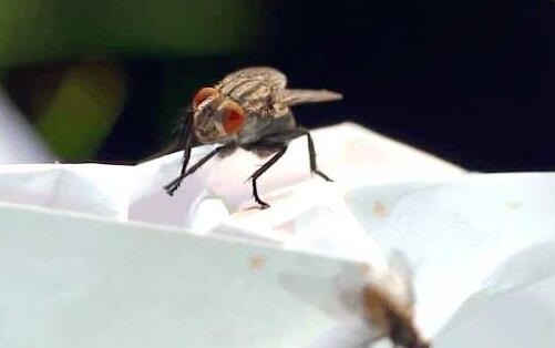 ��Ӭ�������ڸ��� ͣ������ʱ����ϲ�����ִ��