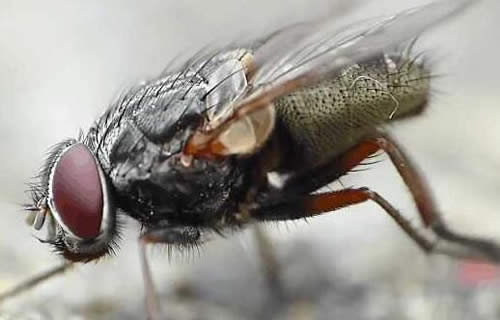 ��Ӭ�������ڸ��� ͣ������ʱ����ϲ�����ִ��