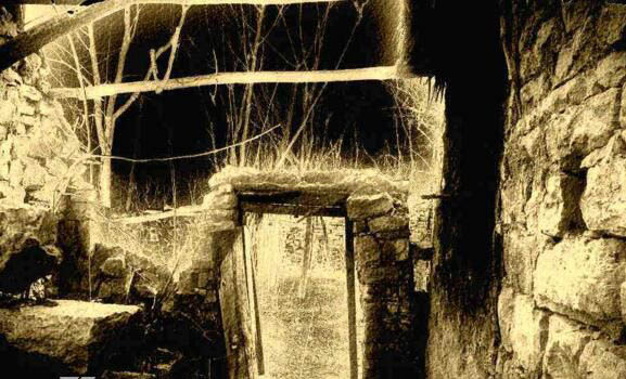 陕西夜狸猫事件发生地 村子的人都去哪里了