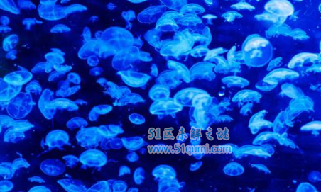 �������ķ�ˮĸ�ж�� ��ˮĸ��ʲô���ӵ�