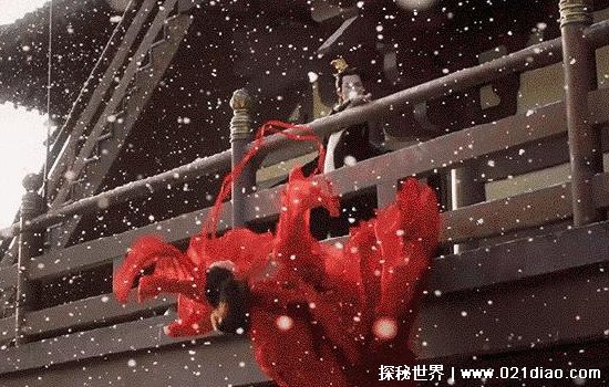 美人骨指的是什么部位 世间罕见美人骨