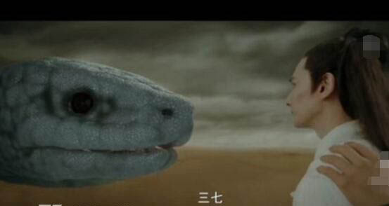 ���ŵ���ʵ���� ���ŵ�����Ϊʲô����