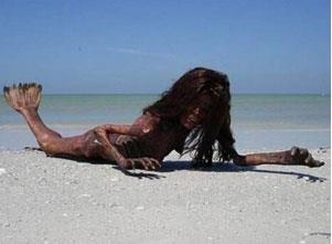 ����������������ͼƬ ��һ����������