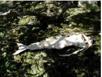 ����������������ͼƬ ��һ����������