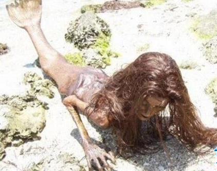 ����������������ͼƬ ��һ����������