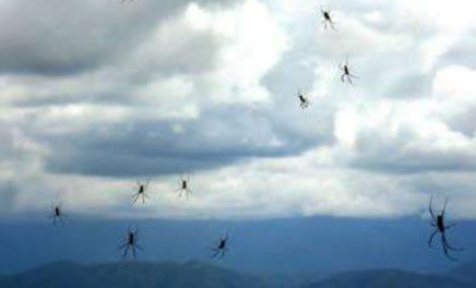 ������ĺ͹�ͮ�������?��ͮ�Ѿ��������