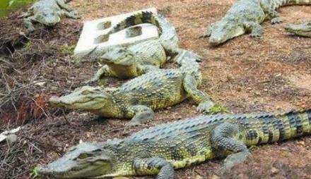 ������ĺ͹�ͮ�������?��ͮ�Ѿ��������