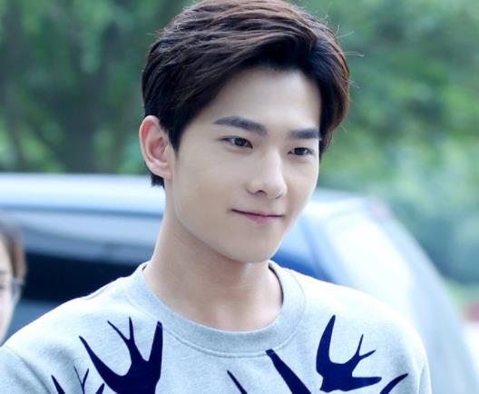 ����������ϼ�鼰���� ����������Ƭ����