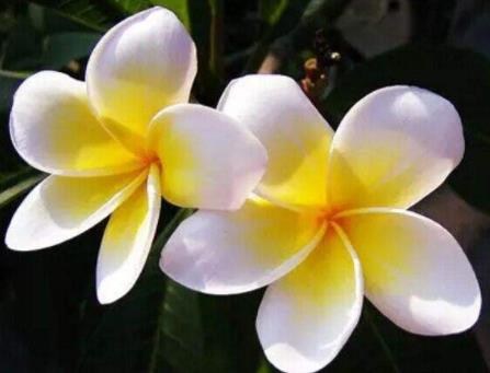 ����Ů������˭?��֤����